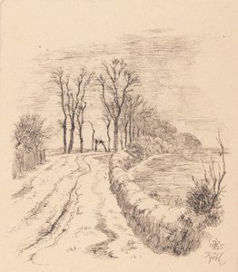 Avenue at Vallø