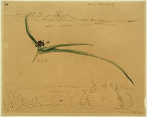 View of Kalundborg and Study of a Three-Masted Flower