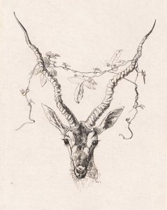 Antelope Head by Johan Thomas Lundbye