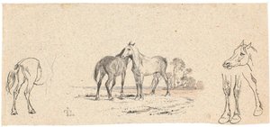 The Two Horses; Study of Horses