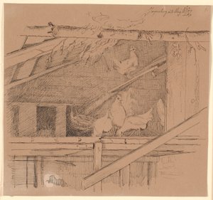 Hens in an Attic