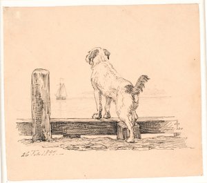 The Dog at the Beach. Illustration for Kaalund