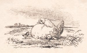 The Chicks by Johan Thomas Lundbye