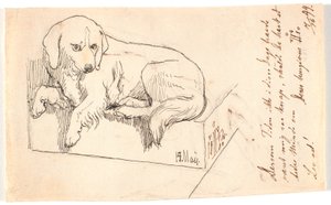 Lying Dog by Johan Thomas Lundbye