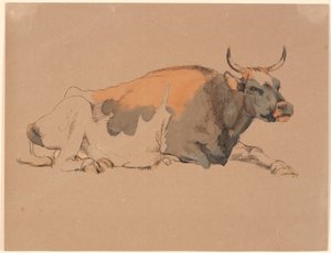 Lying Red and Black Spotted Cow
