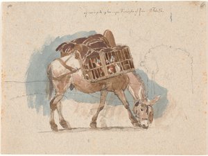 Mule with Chicken Baskets