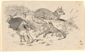 The Fox