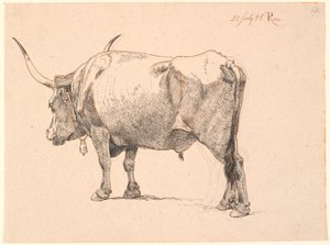 Roman bull with bell around neck, seen from behind by Johan Thomas Lundbye