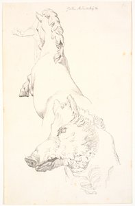 Study after Antique Sculptures: Boar
