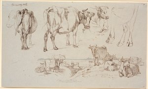 Study sheet from Vognserup. Studies of cows, landscape with standing and lying cows by Johan Thomas Lundbye