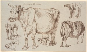 Study Sheet from Vognserup. Various Studies of a Cow by Johan Thomas Lundbye