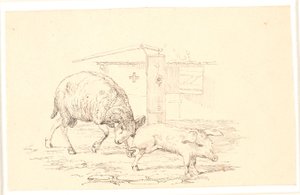 The Ram and the Pig. Illustration for Kaalund