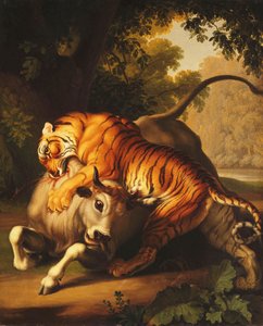 A Tiger Attacking a Bull by Johan Wenzel Peter