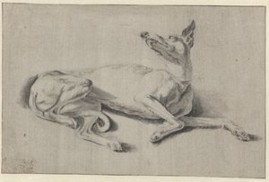 Lying Greyhound