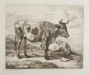 Cattle in the Field by Johann Adam Klein
