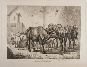 Hungarian Buffaloes and Sheep by Johann Adam Klein