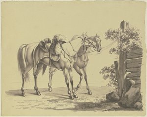 Two Saddled Military Horses Tied to a Post by Johann Adam Klein