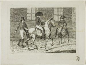 Riding School and Horses