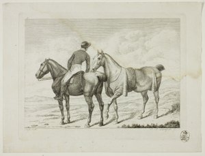Riding School and Horses