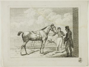 Riding School and Horses