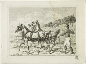Riding School and Horses