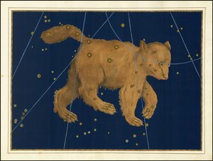 Ursa Major