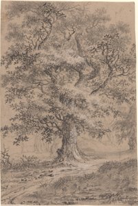 A Leafy Oak by a Woodland Path by Johann Caspar Huber