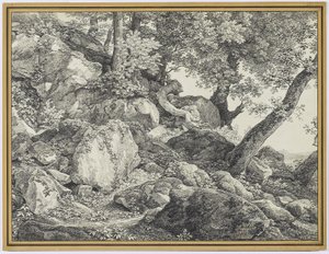 In the Park of the Palazzo Chigi, Ariccia by Johann Christian Reinhardt