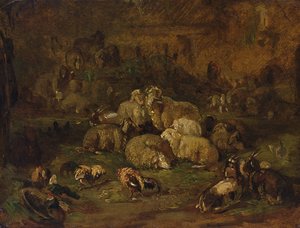 Sheep, Goats and Chickens