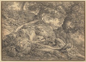 Slope with Boulders and Olive Trees in the Park of the Chigi Princes at Ariccia by Johann Christian Reinhart