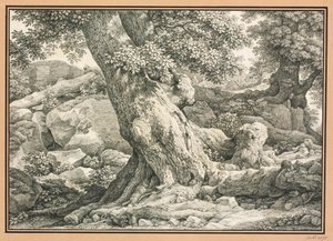 Tree Study on Rocky Terrain by Johann Christian Reinhart