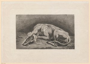 Sleeping Greyhound by Johann Christian Reinhart