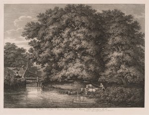 The Mill at the Great Oaks by Johann Christian Reinhart