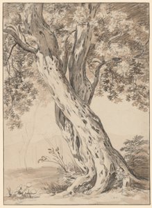Two Intertwined Oak Trees by Johann Christian Reinhart