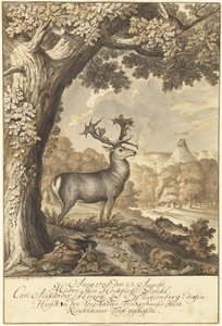 A Stag beneath a Mighty Oak by Johann Elias Ridinger