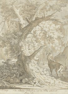 Hunter Aiming at a Red Deer in the Water Under an Old Tree