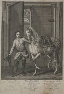 New School of Horsemanship