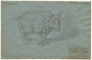 The Rhinoceros Miss Clara by Johann Elias Ridinger