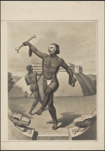 A Collection of Waldeck