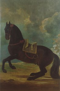 The Bay Stallion with Spanish Saddle