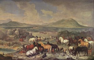 The Imperial Stud with Lipizzaner Horses