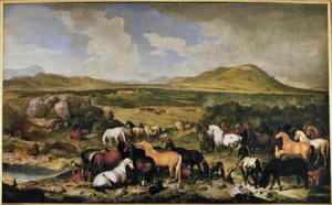 Johann Georg de Hamilton / Lipizzaner