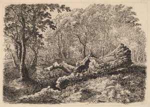 Mouldering Tree Trunk, 1794