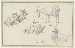 Studies of a Goat by Johann Heinrich Roos (possibly)