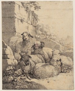 Four recumbent sheep and one standing sheep before a wall, sheet from the series “Sheep and Goats” by Johann Heinrich Roos