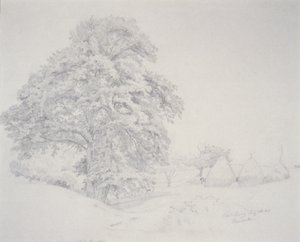Cold Spring by Johann Hermann Carmiencke