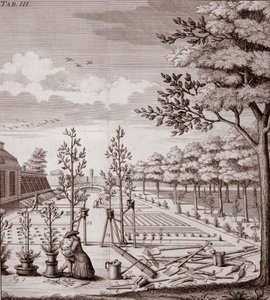 Illustration of a Garden Scene, 1753