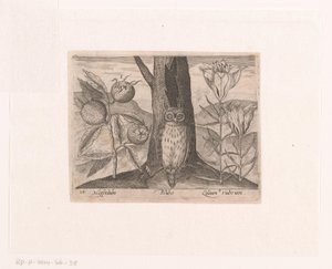 Series of Prints with Flowers and Animals in a Landscape Landscape with Medlar, Lily, and Owl