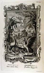 The Fifth Day of Creation: Animals are Created