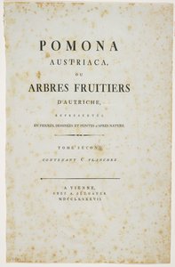 Title Page from 